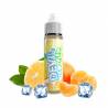 DEVIL ICE SQUIZ - Citron Mandarine 50ml
