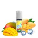 DEVIL ICE SQUIZ - Double Mangue 10ml